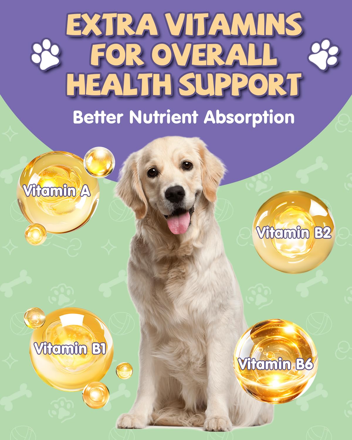 Antibióticos para Perros - Gotas de Antibióticos Naturales para Perros, Alivio Alergias, Alivio Picazón Piel, Refuerzo Sistema Inmunológico en Mascotas, Suplementos Hierbas Infección Mascotas