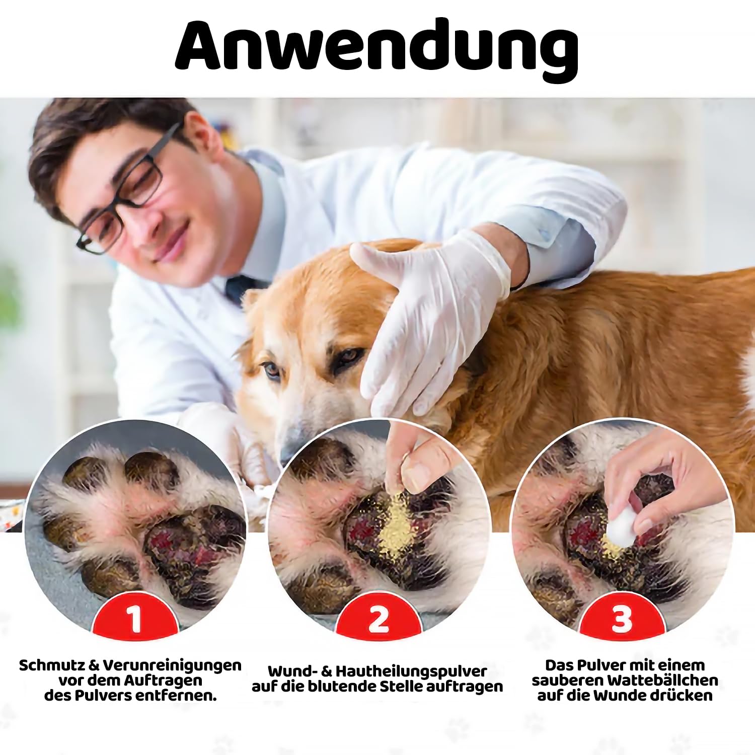 Wund- & Hautpuder für Hunde | Blutstillend & Heilungsfördernd | Tierärztlich getestet | Erste-Hilfe Wundpuder | Antibakteriell | DogsLife