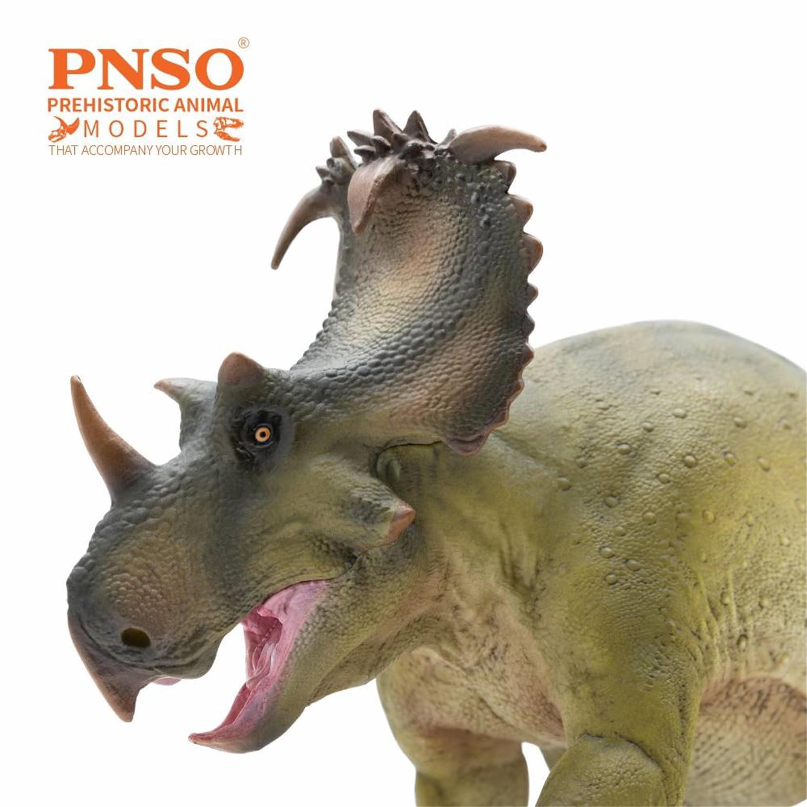 Amazon.co.jp: PNSO 成長シリーズ 89 コロノサウルス フィギュア