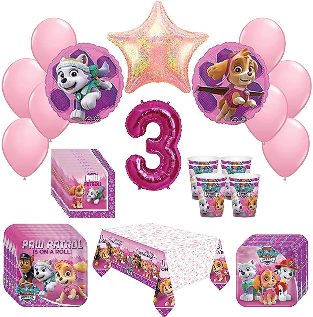 Girl Pups Paw Patrol Skye Everest 3rd Birthday Party Pack 52 Piece Set