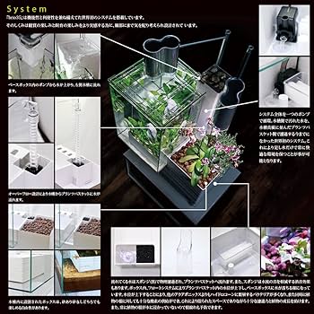 ブリオ　水槽　brio 35 アクアポニックスシステム 黒 楽天市場】[10月エントリーでP10倍!] ベムパートナー brio35