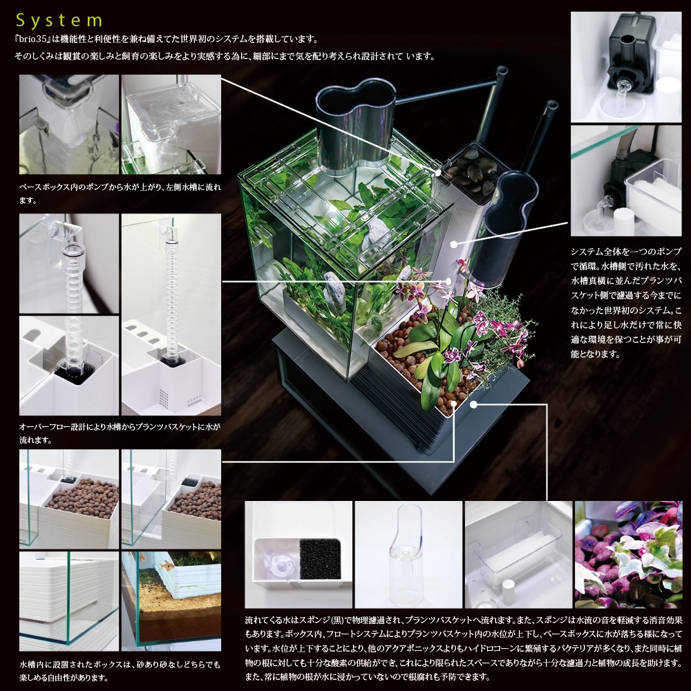 Amazon | brio(ブリオ) 水槽 35 50Hz仕様 黒 | brio(ブリオ) | 水槽 通販