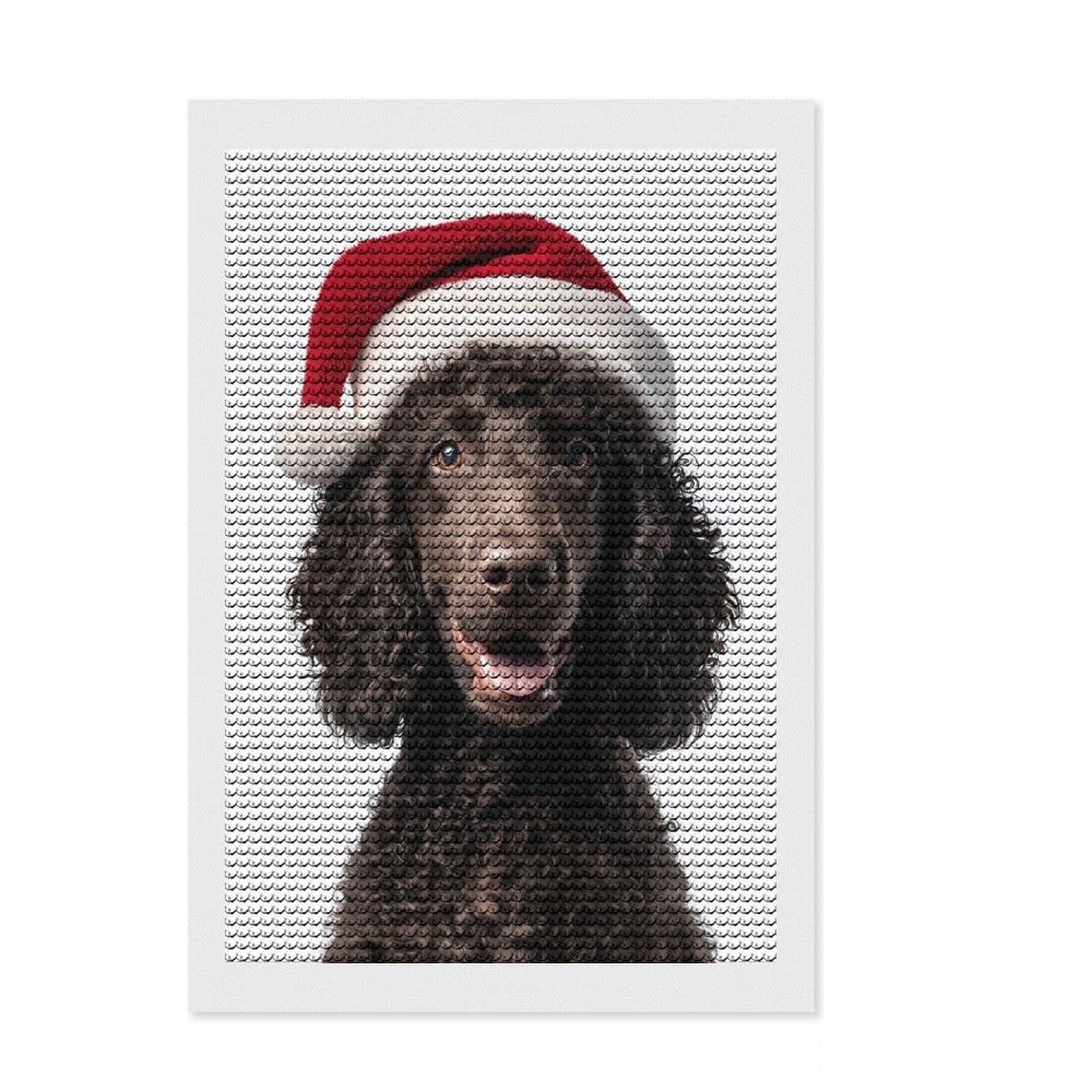 Junmoney Irish Water Spaniel with Santa Hat Diamond Painting Kit 8"x12", Easy to Follow Symbols, Stress Relief Craft, Farmhouse Decor, Birthday Gift