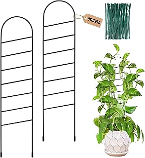 17.5 Inch Indoor Plant Trellis for Climbing Plants, Small Metal Garden T...