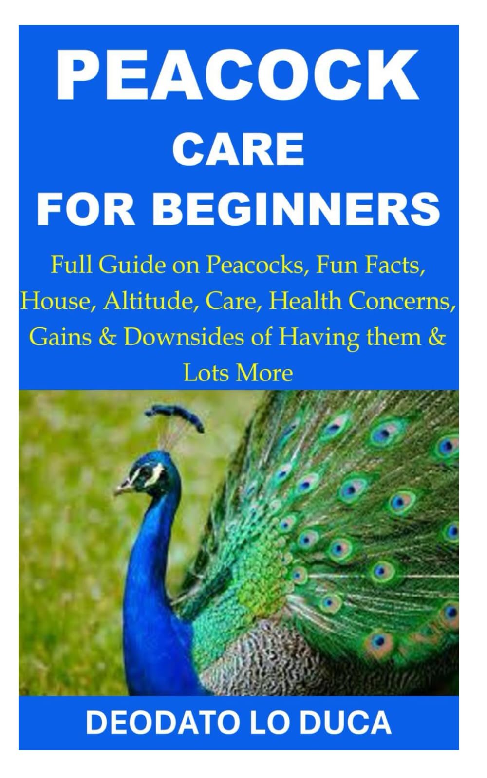 Peacock Care for Beginners: Full Guide on Peacocks, Fun Facts, House, Altitude, Care, Health Concerns, Gains & Downsides of Having them & Lots More