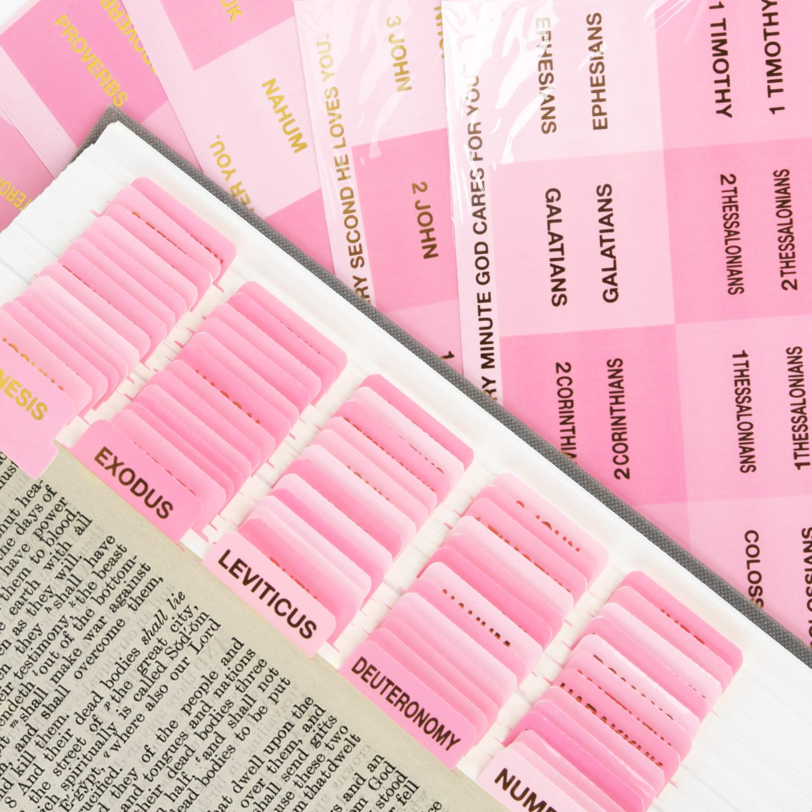 Bible Tabs, Easy to Read Large Font, Laninated Intex Tab
