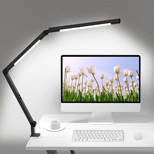 LED Desk Lamp with Clamp, Architect Desk Lamp with Dual Light and Adjust...
