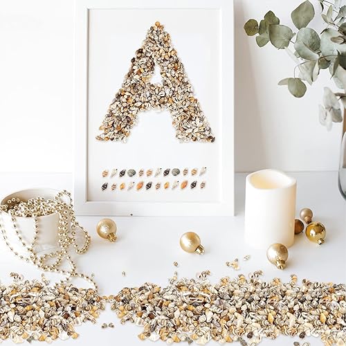 Vista 3 de 2000 pequeñas conchas marinas para manualidades, conchas marinas mixtas para decoración del hogar, fiesta temática de playa, conchas pequeñas