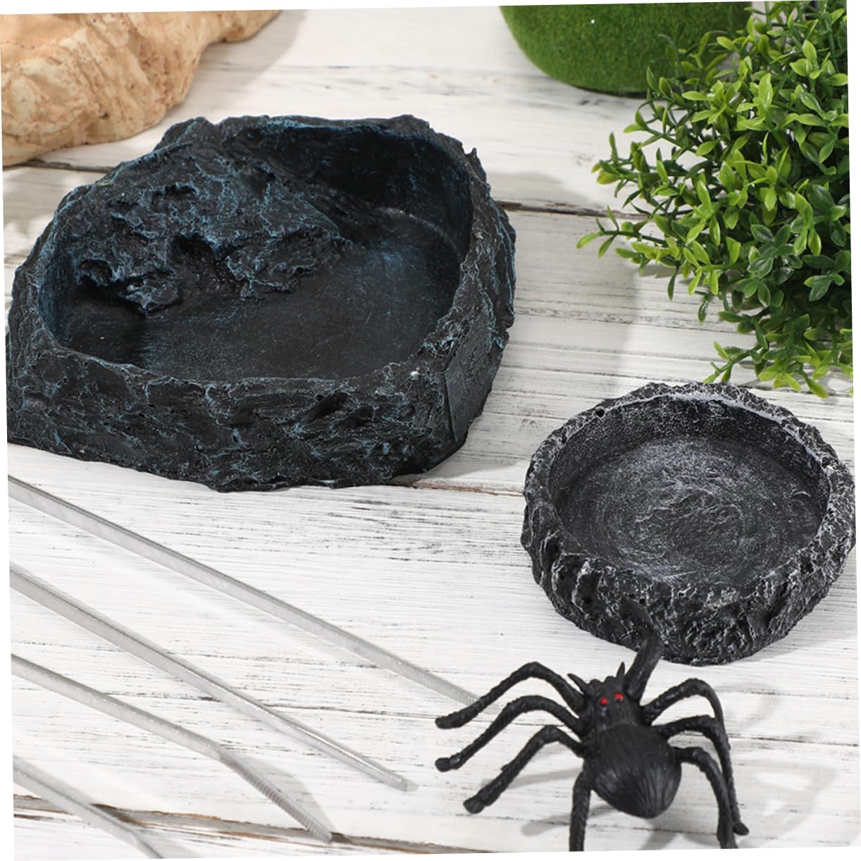 GLEAVI 1 Set Ciotola per Cibo Rettili con Pinzette Completo per Drago Barbuto e Tartarughe Accessorio Versatile per Terrari
