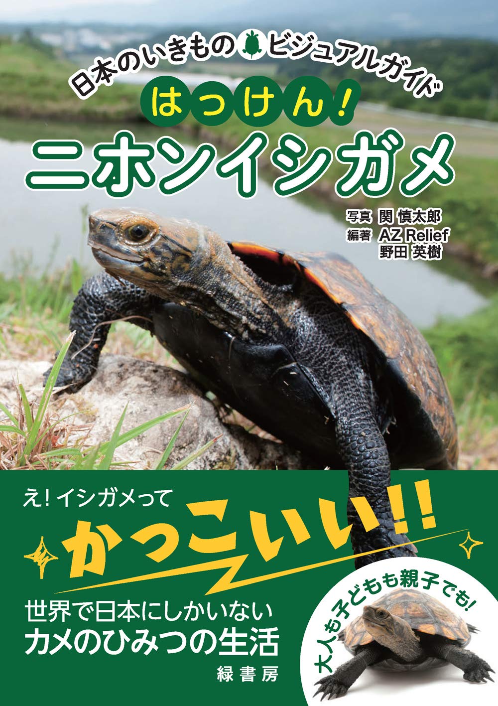 日本のいきものビジュアルガイド はっけん ニホンイシガメ Az Relief 野田 英樹 Az Relief 野田 英樹 関 慎太郎 本 通販 Amazon