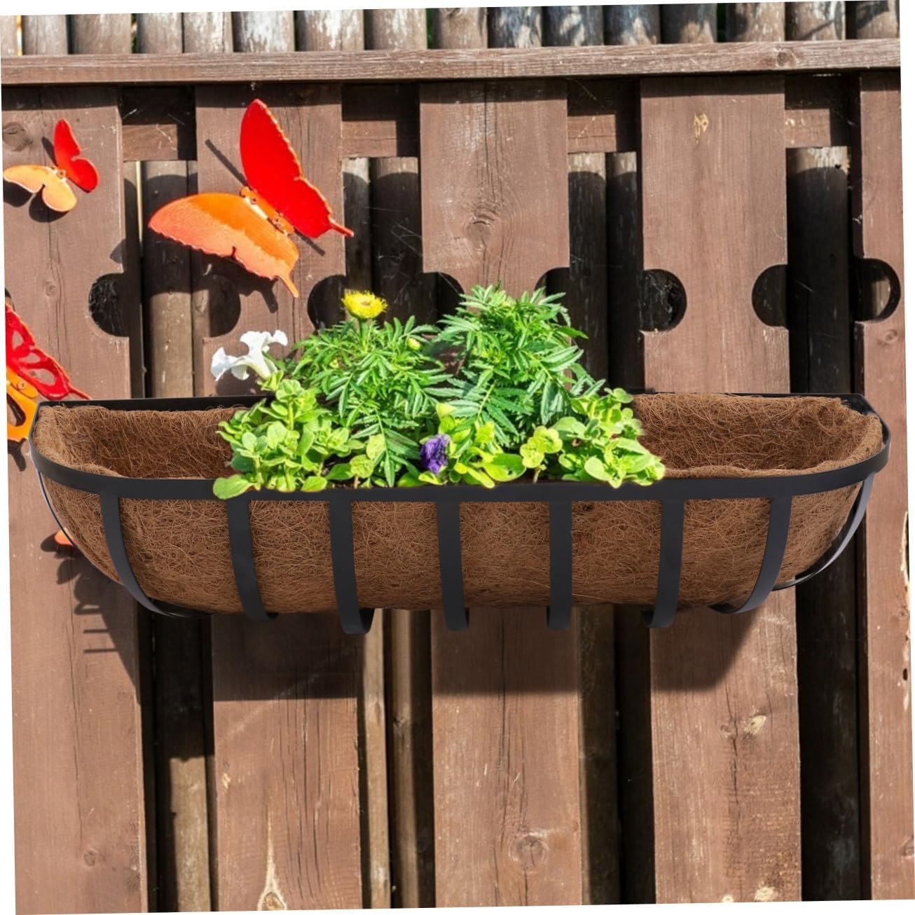 Half-Round 24-inch Coconut Coir Hanging Flowerpot Holder Wall-Mounted Iron Basket for Outdoor Garden Plants Vertical Wall Planter Decorative Plant Container