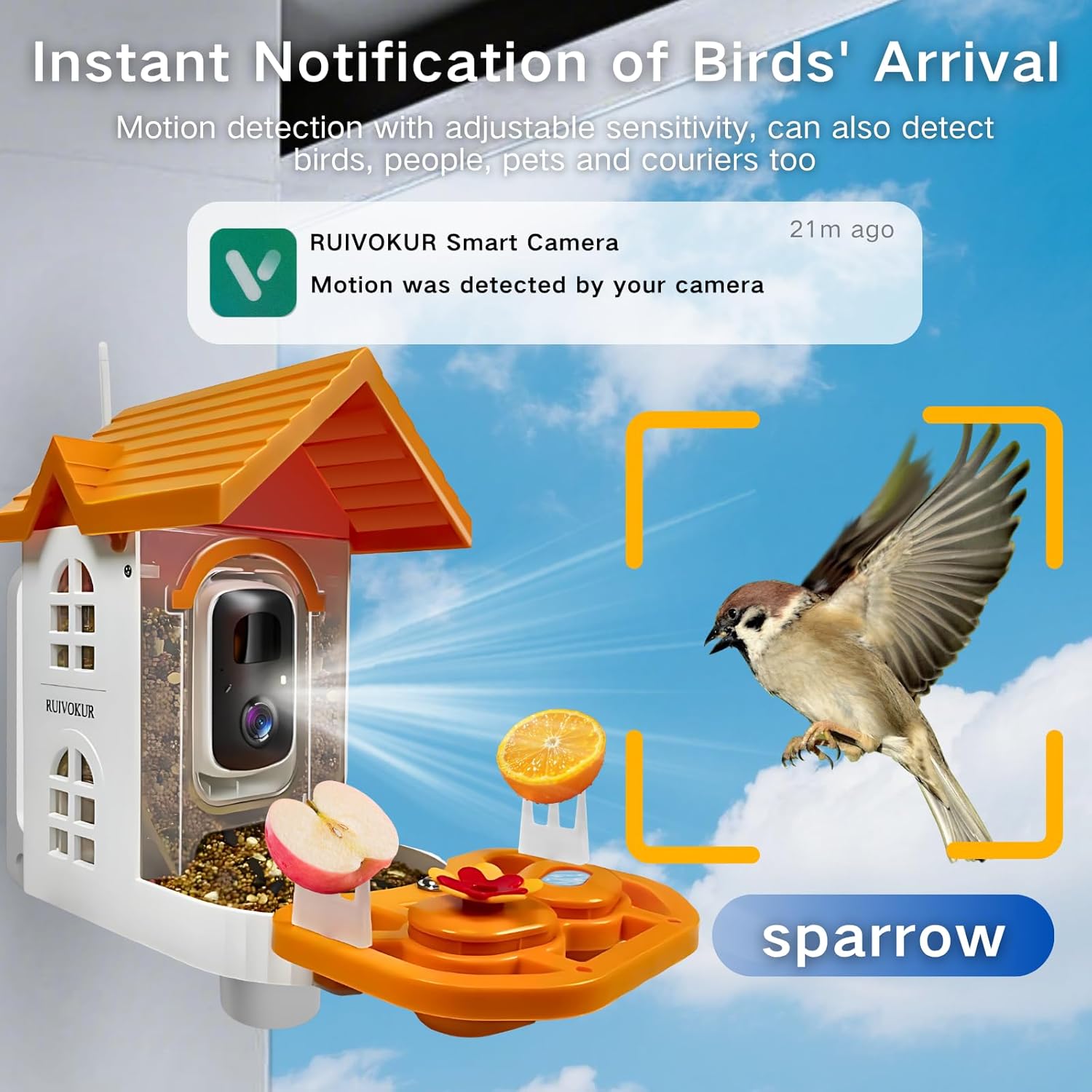 Bird Feeder with Camera with Solar Panel, Smart Bird Feeder Wireless Outdoor with Ai Identify 11000+ Birds Species, 2k Hd Video Live Stream View, Instant Arrival Alerts, Gifts - Image 4
