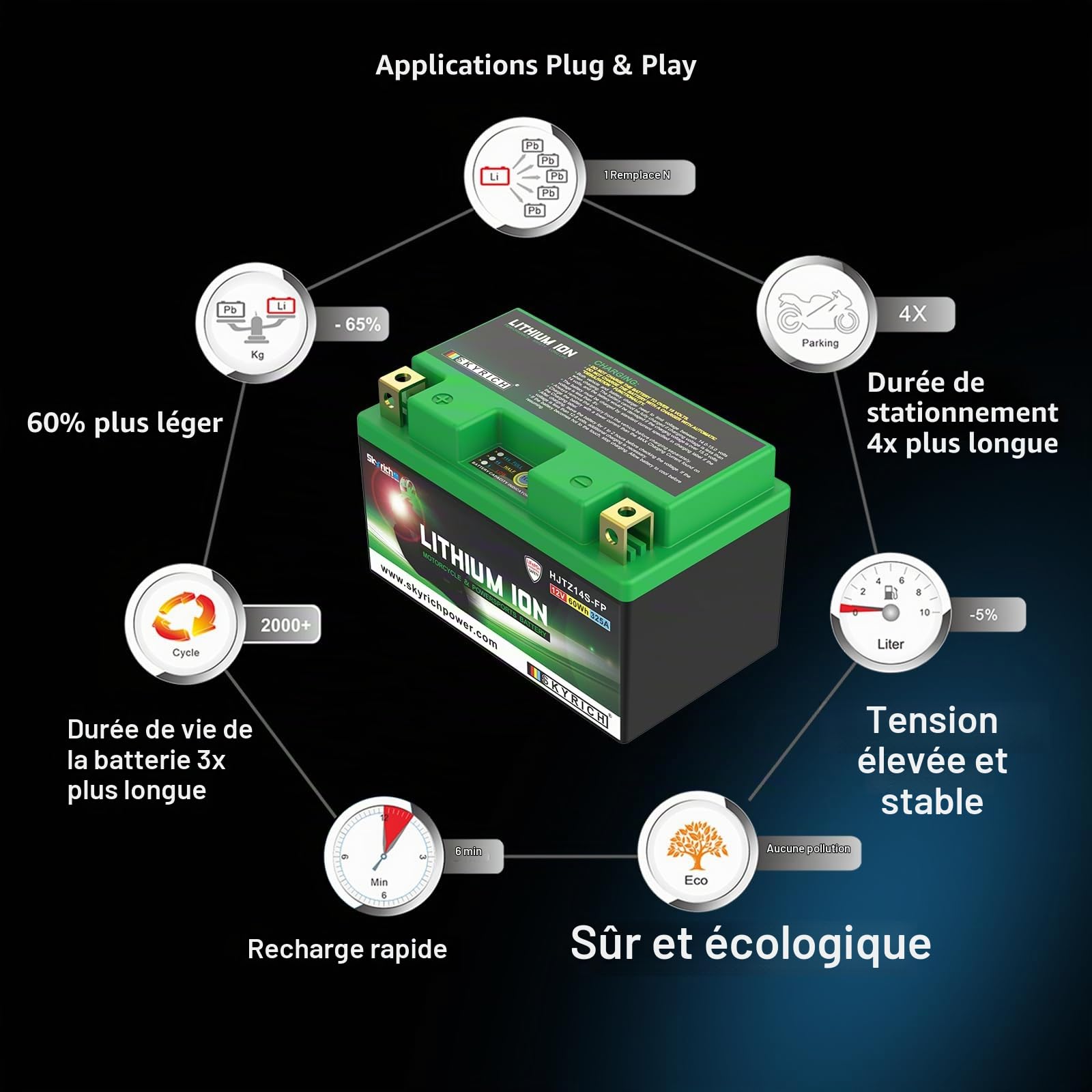 Batterie Skyrich Lithium HJTZ14S-FP