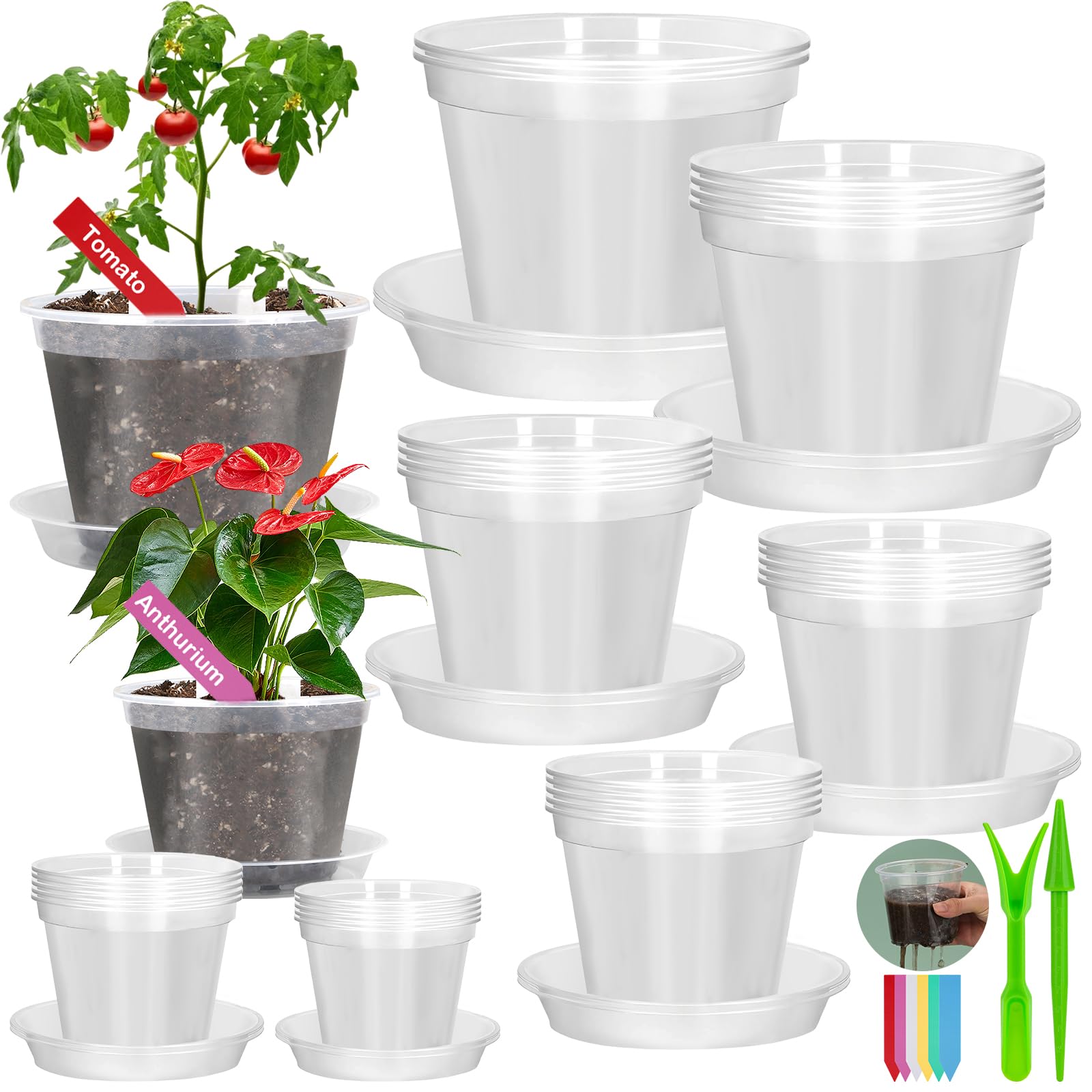 NO COFFEE × BOTANIZE × .blnk PLASTIC POT Amazon.com: 92Pcs Clear Plastic Nursery Pots with Drainage Holes