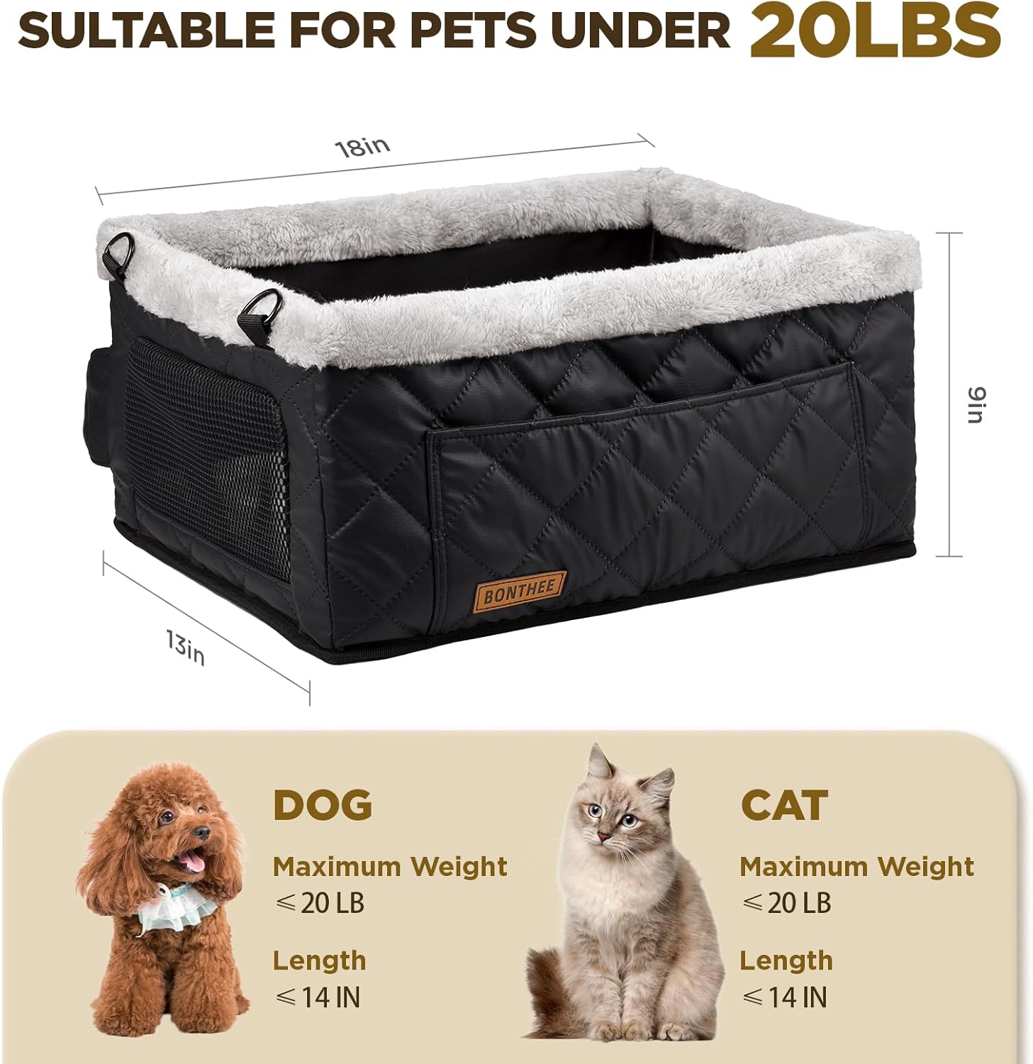 Elevate Your Pup