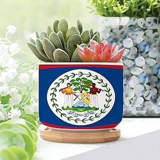 Flag of Belize Small Ceramic Planters for Indoor Set of 1 Belize Planters Ceramic with Drainage Bamboo Trays Travel Souvenir Succulent Planters for Indoor Housewarming Gift to Women
