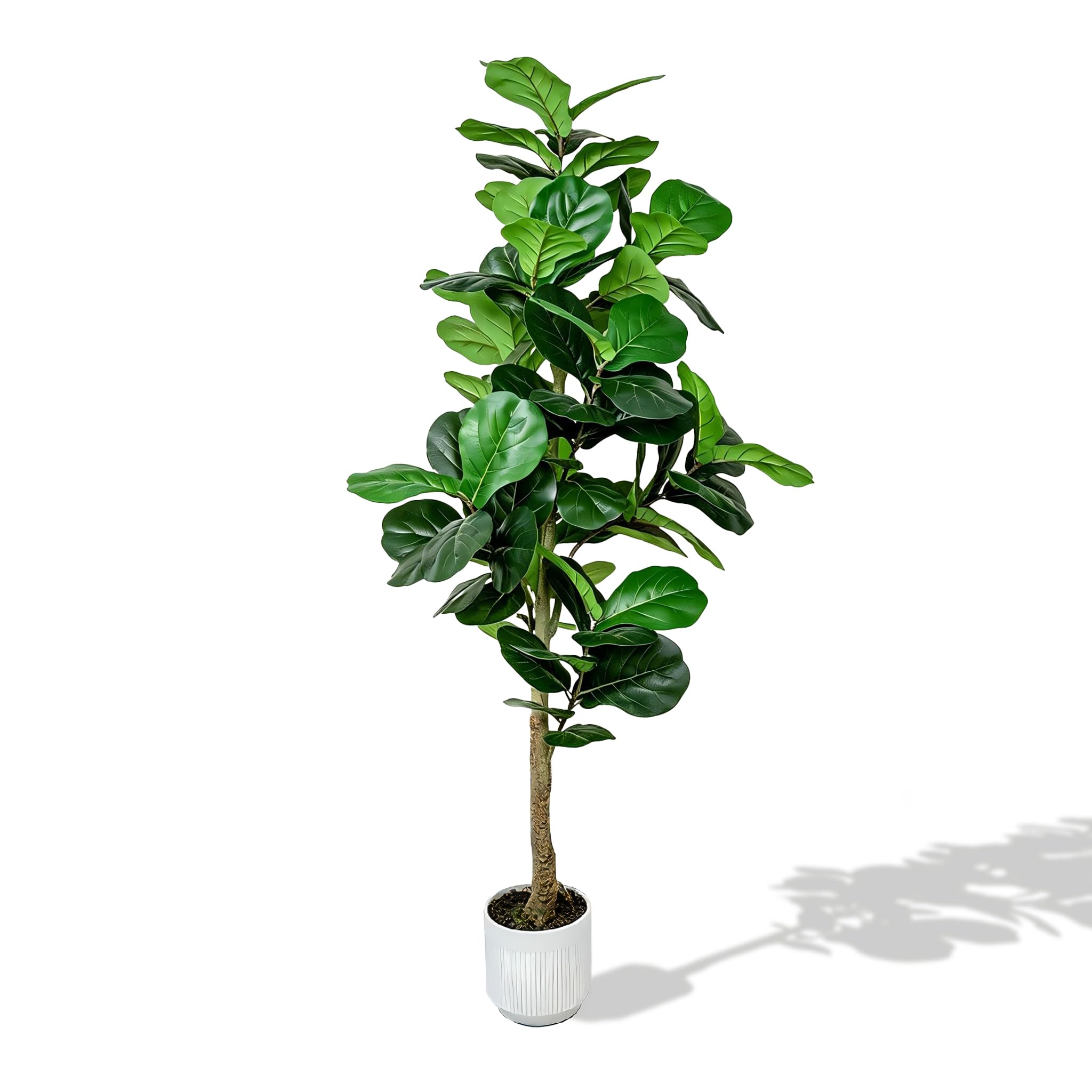 Photo 1 of Bloyapix 5ft Fiddle Leaf Fig Artificial Tree