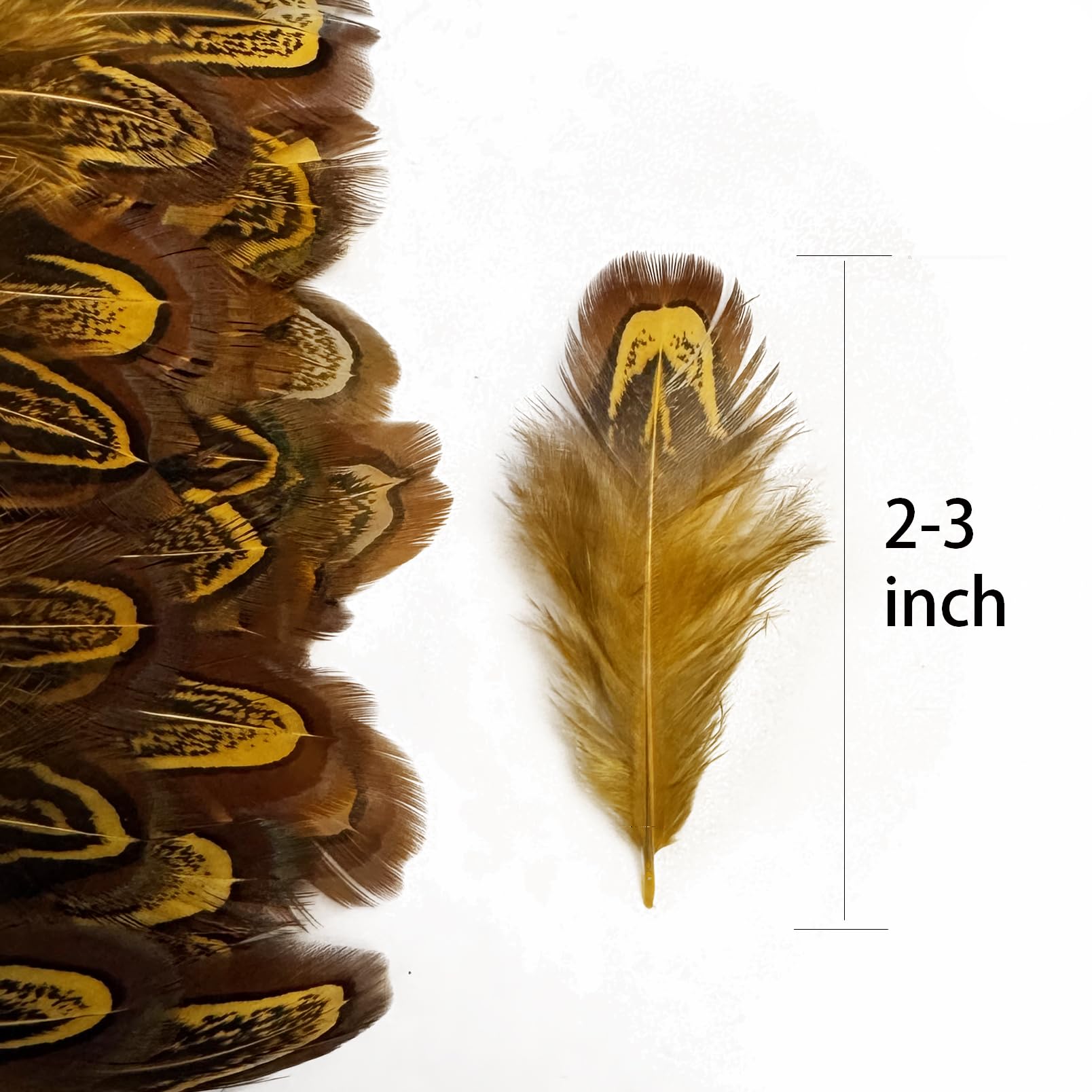 100 pcs Natural Pheasant Plumage Feathers 2-3 Inches Plumage Feathers for Sewing Crafts Clothing Decorating Accessories -Gold