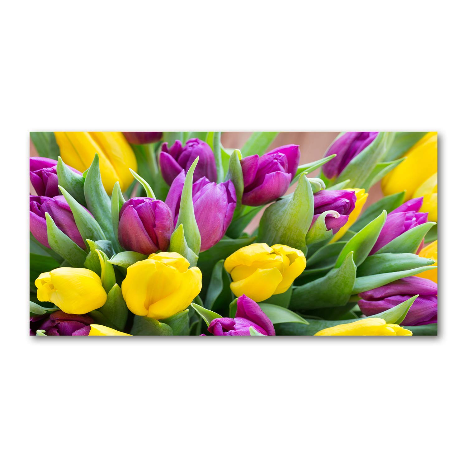 Tulup Leinwandbild - Wandkunst - Drucke auf Leinwand - Leinwanddruck -100x50 cm - Blumen & Pflanzen - Mehrfarbig - Bunte Tulpen