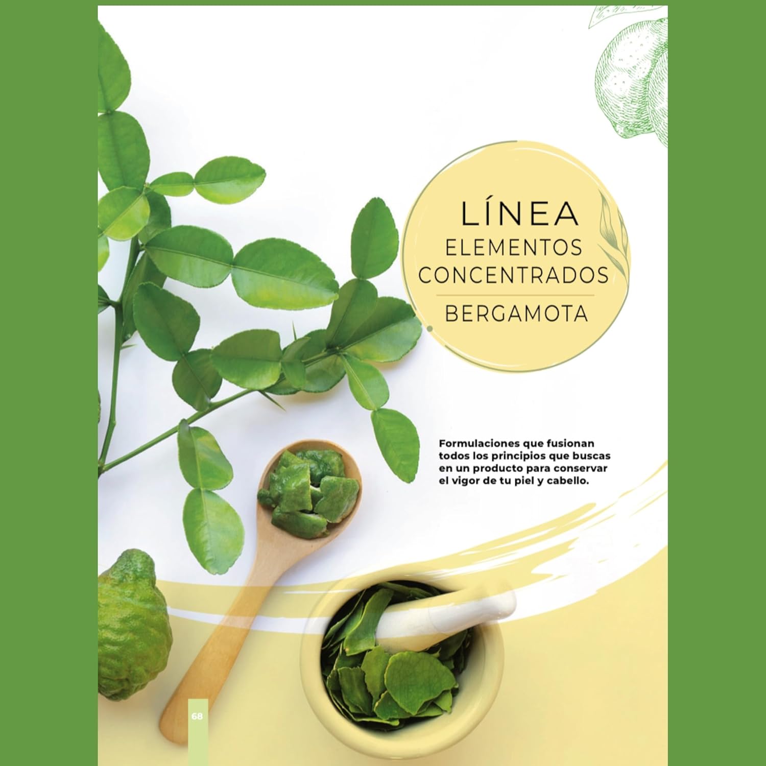 Hair Growth Tonic Bergamota 250ml. Florigan