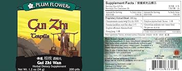 Gui Zhi Tang Teapills (Gui Zhi Tang Wan), 200 ct, Plum Flower by Plum Flower