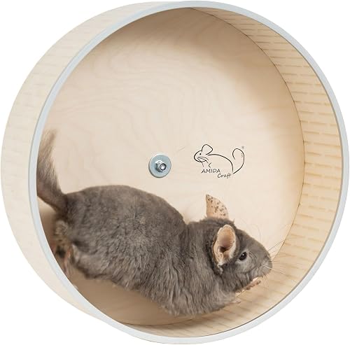 16" Silent hilla Exercise Wheel
