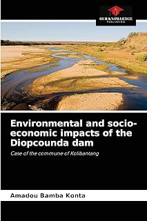 Environmental and socio-economic impacts of the Diopcounda dam: Case of the commune of Kolibantang