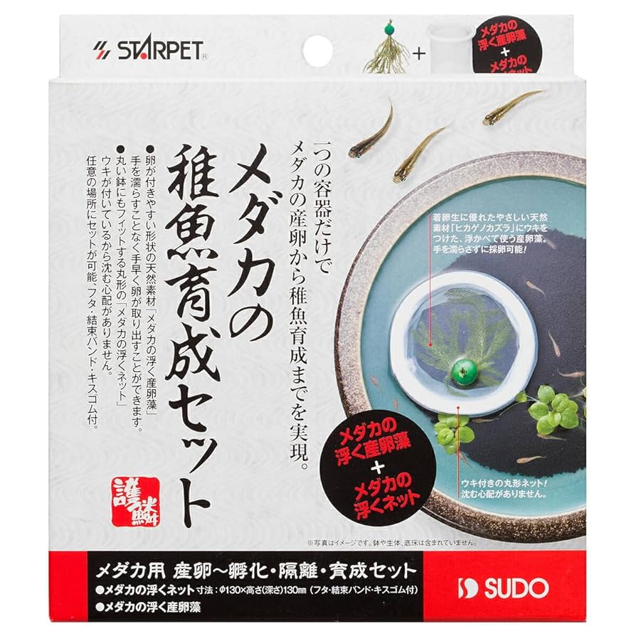 ダゴニャン セット 71fJBaIPq4L._UF350,350_QL50_.jpg