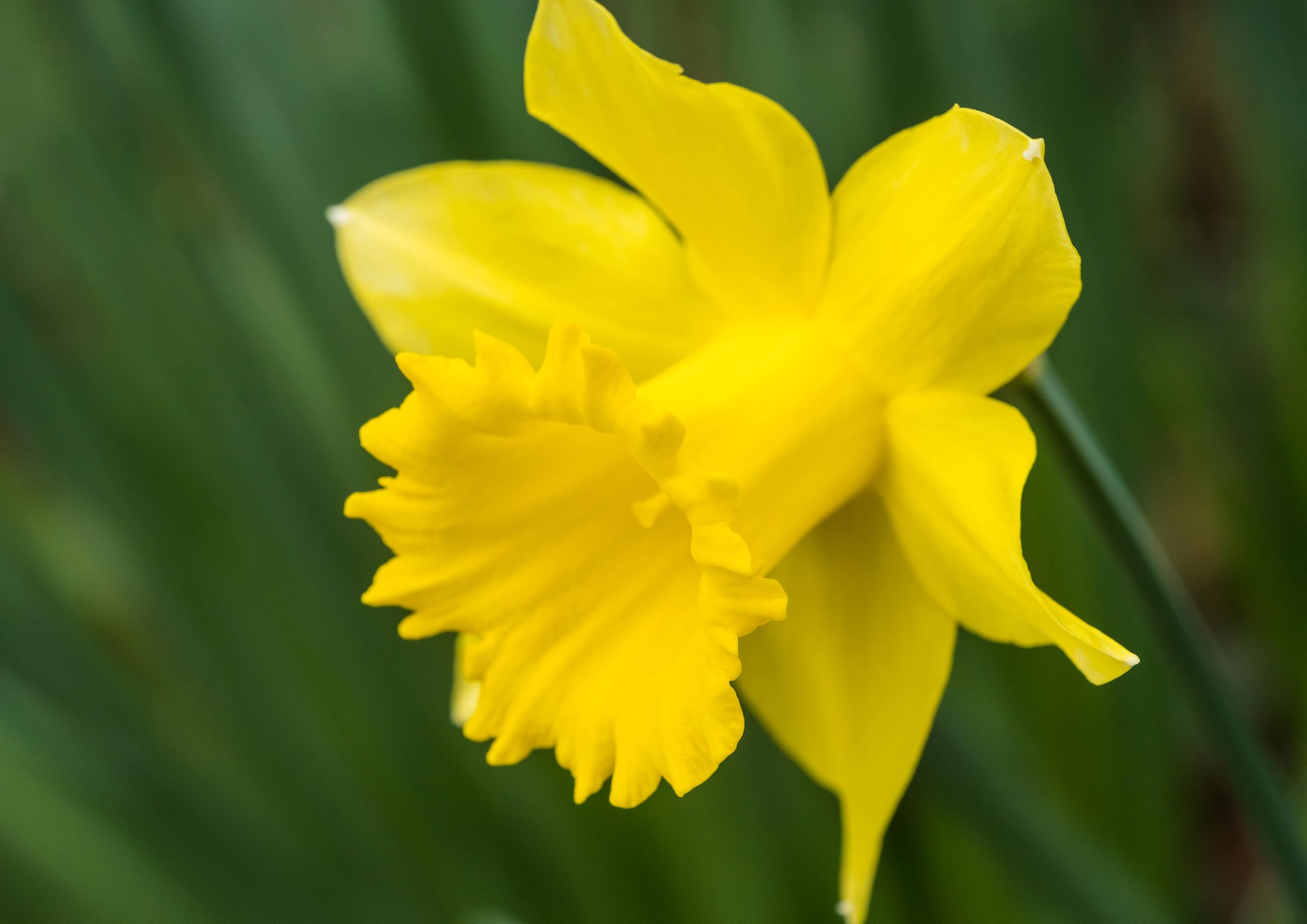 View 5