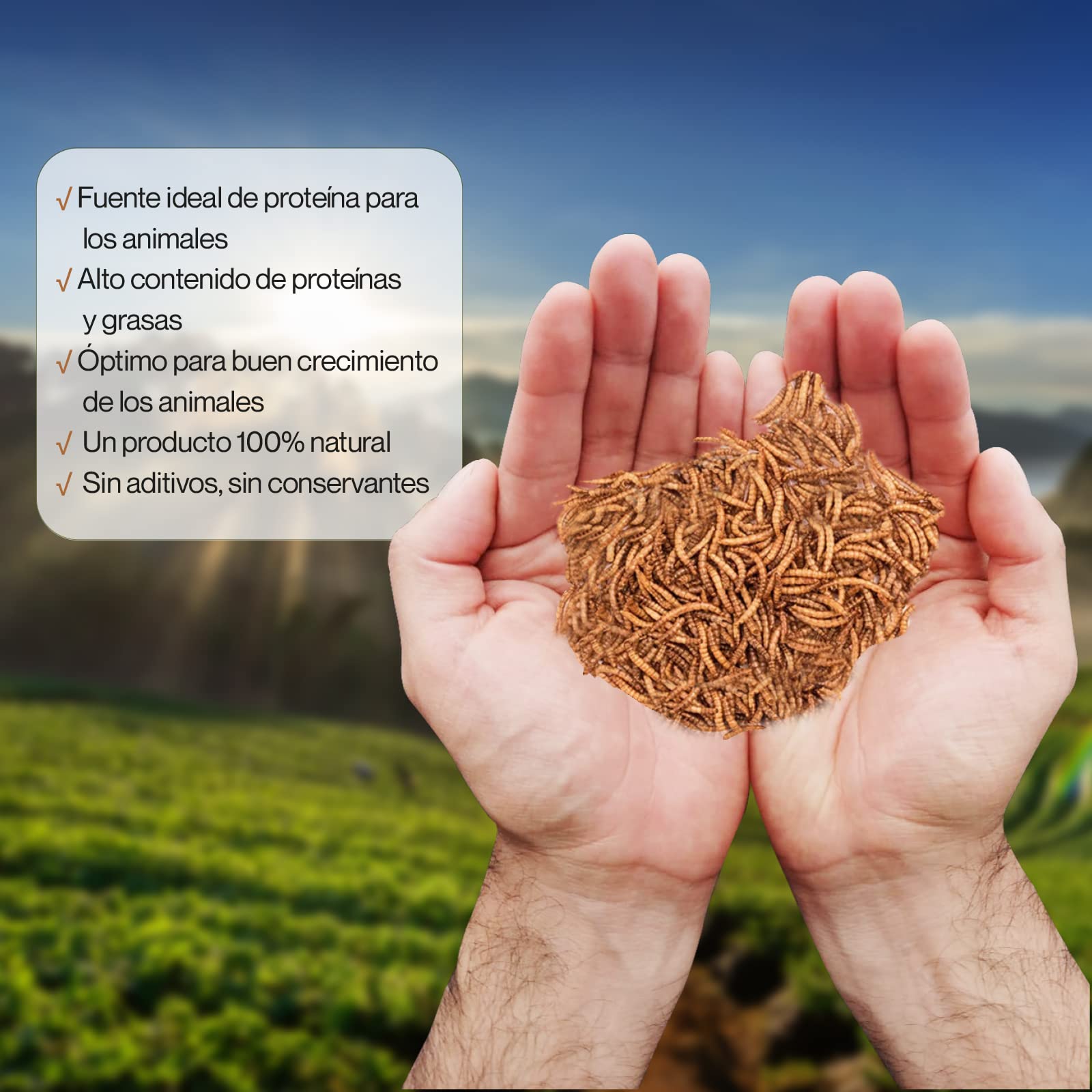Detox Organica Gusanos de la Harina 160g – Gusanos de la Harina Deshidratados 1L – Gusanos para pájaros disecados – 100% Natural