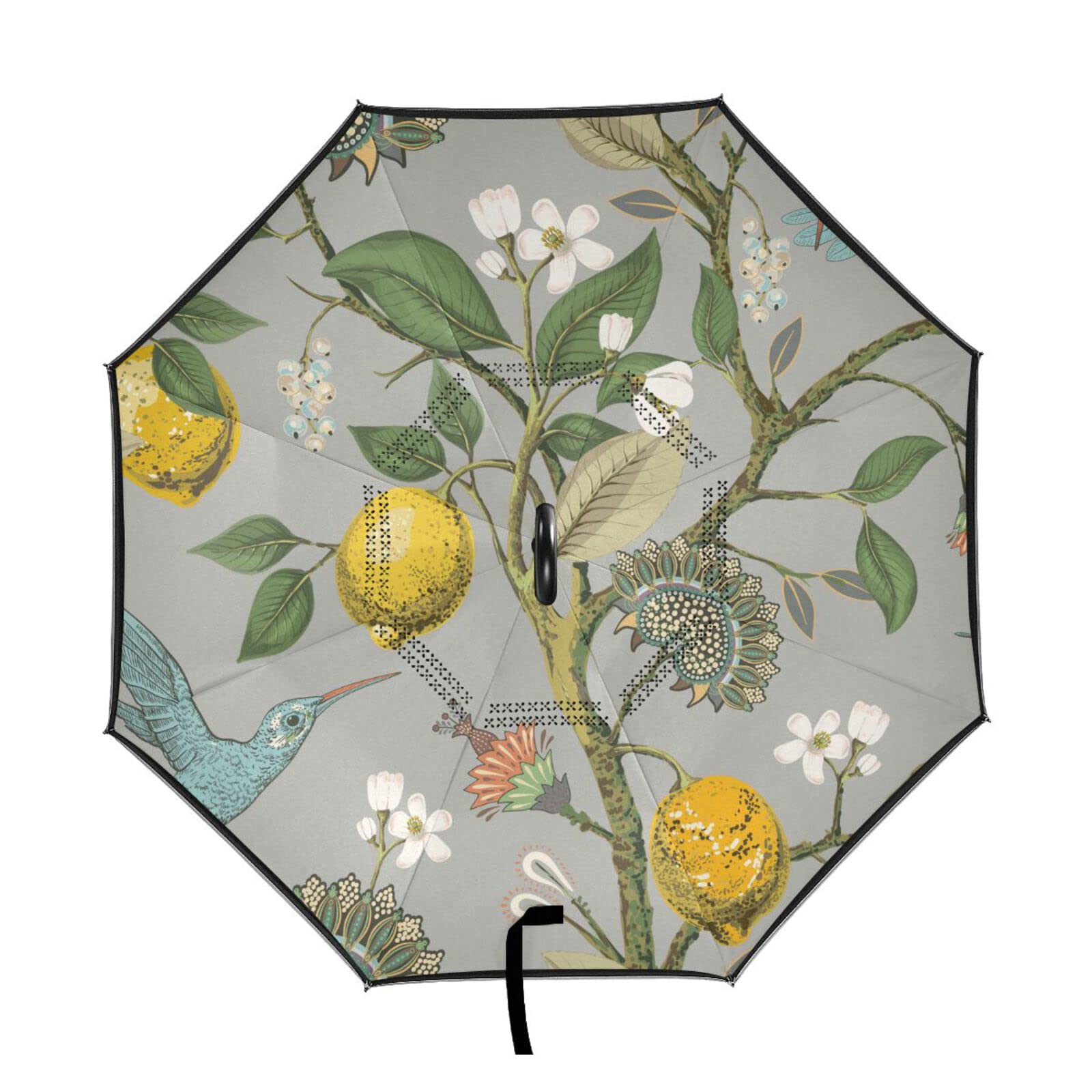 MNSRUU Doble capa invertida pájaros limones flores colibríes paraguas coches reversa viento paraguas lluvia para coche exterior con mango en forma de C protección UV viento, Mutli, L