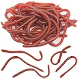XYQMLY 30 Pcs 7.1inch/18cm Soft Fake Earthworms Faux Lifelike Stretchy Rubber Earthworms, Plastic Worms Trick for Halloween April Fool's Day Party Decoration