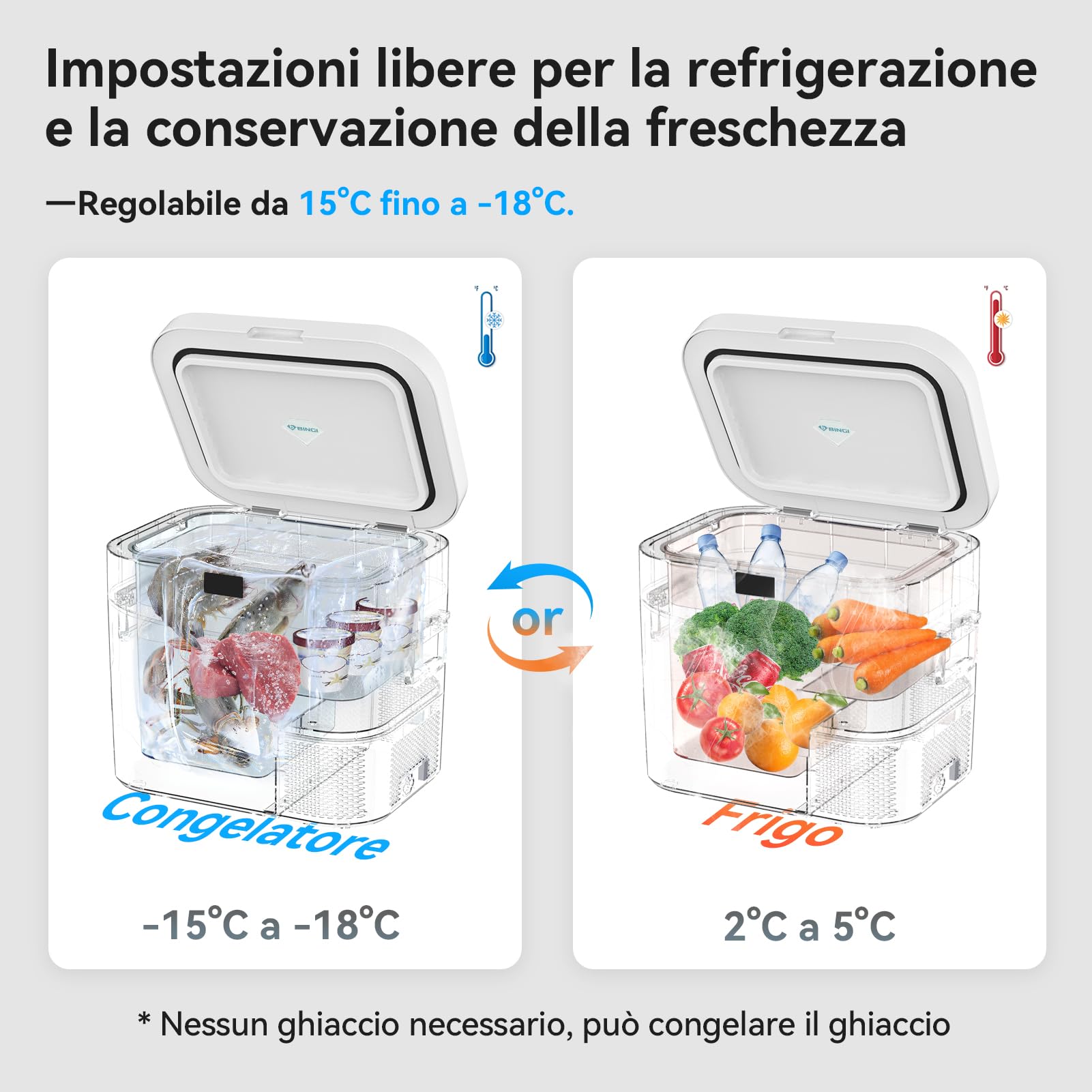 BINGI - Frigorifero con compressore, 22 l, mini frigorifero elettrico portatile, 12/24 V DC, congelatore elettrico portatile, per auto, camion, picnic, campeggio e uso domestico
