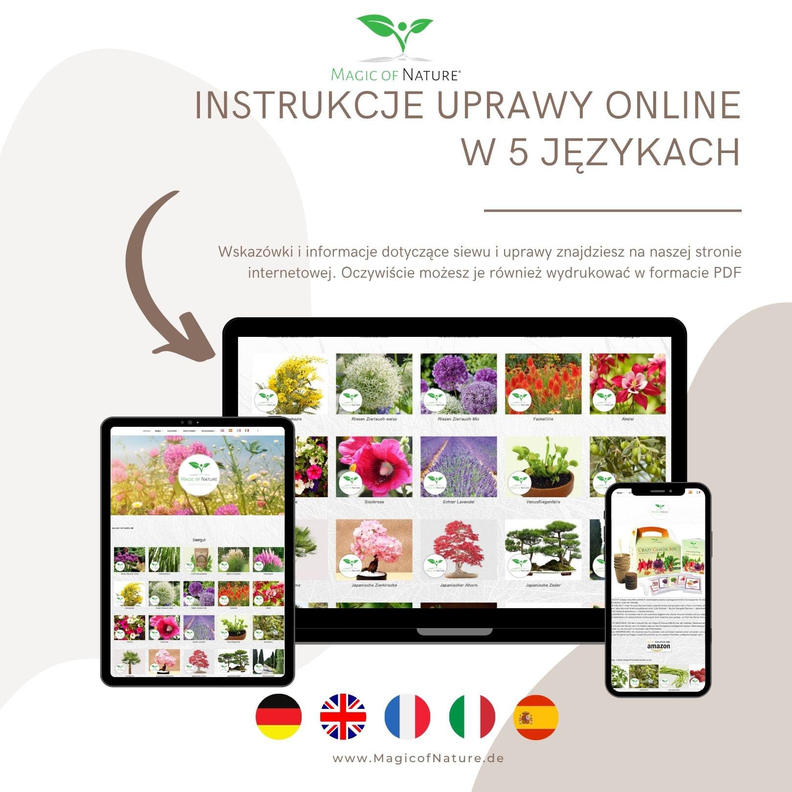 Magic of Nature: Czosnek Olbrzymi Nasiona (60 szt.) Allium giganteum Mix Fioletowy i Biały – Mrozoodporne Nasiona Ogrodowe