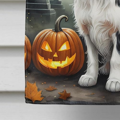 Miniatura 194 de Caroline's Treasures DAC2011GF - Bandera decorativa para jardín de Halloween con diseño de beagle para jardín, jardín, jardín, jardín, multicolor