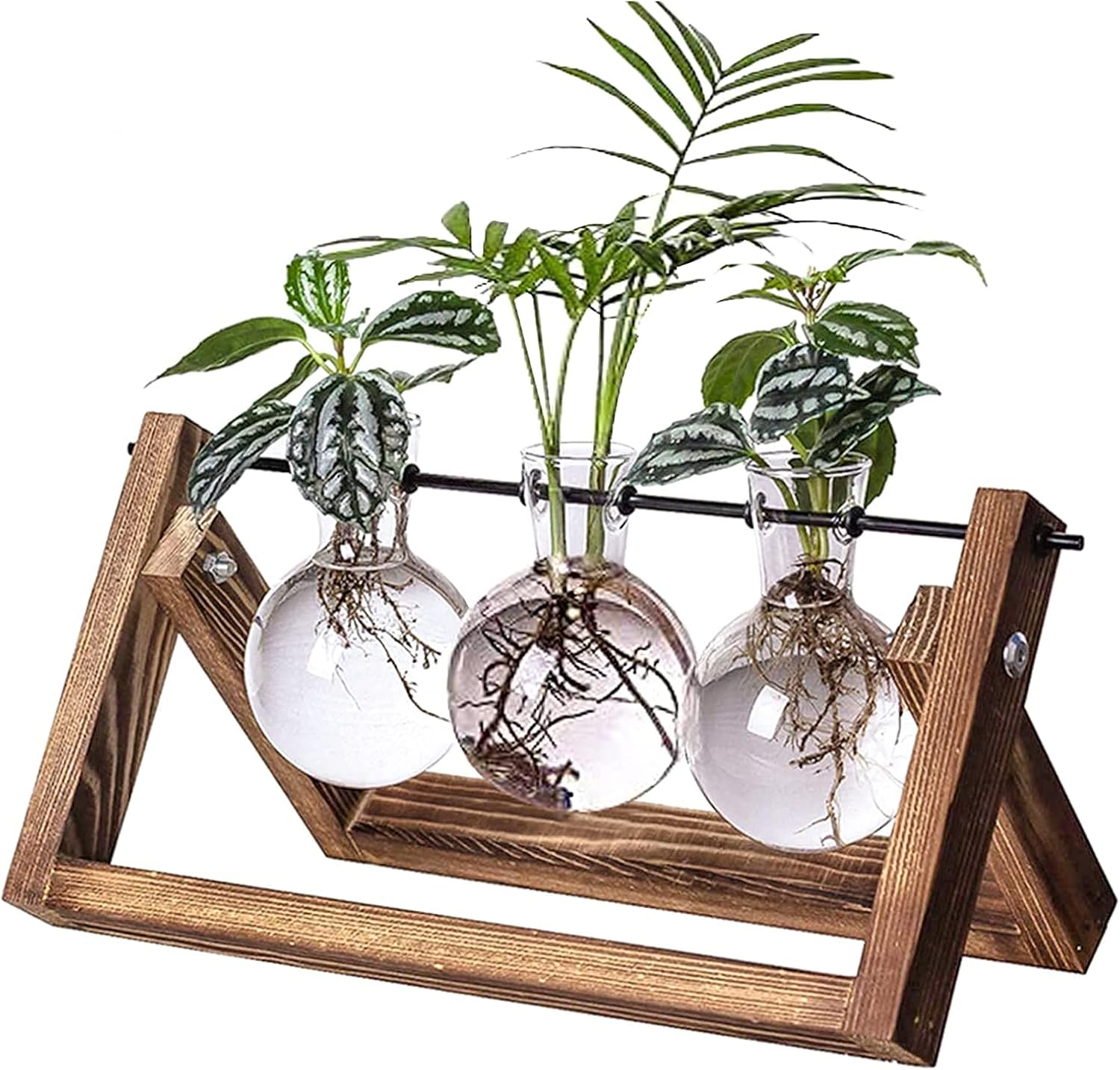 Kingbuy Desktop Glass Planter with Retro Wooden Stand Plant Terrarium for Indoor Office Decor Accessories — 2 Oblate and 3 Bulb Vases