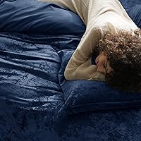 Vista 95 de PHF - Juego de funda de edredón de terciopelo auténtico tamaño individual, juego de funda de edredón ultra suave y transpirable de 2 piezas