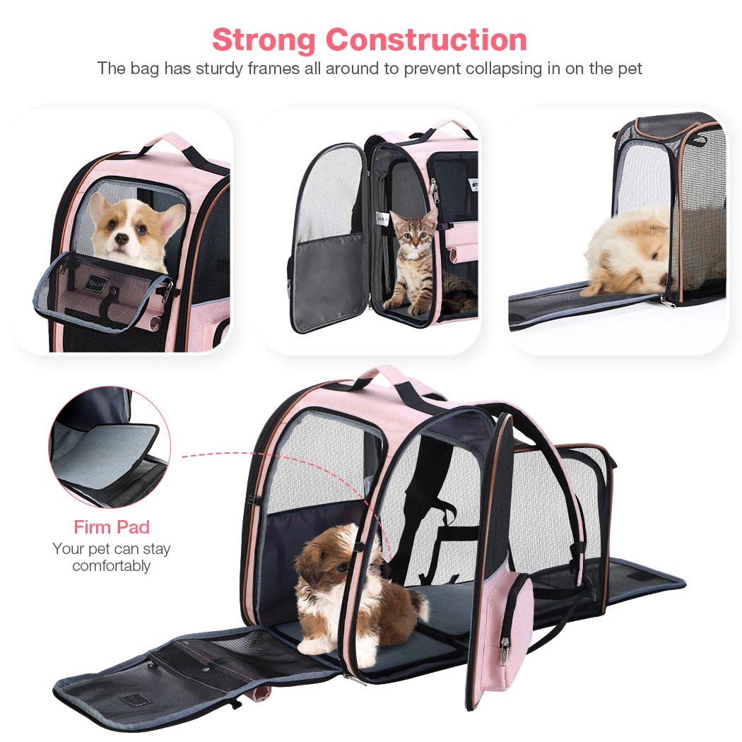 Hykiee Trasportino Gatto Per Cani, Zaino Contenitore Per Cani Piccoli Gatti Cuccioli Medi Fino A 8 KG, Traspirante Pieghevole Borsa Anteriore Cane Con