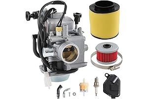 Honda TRX Series Carburetor (350/450)