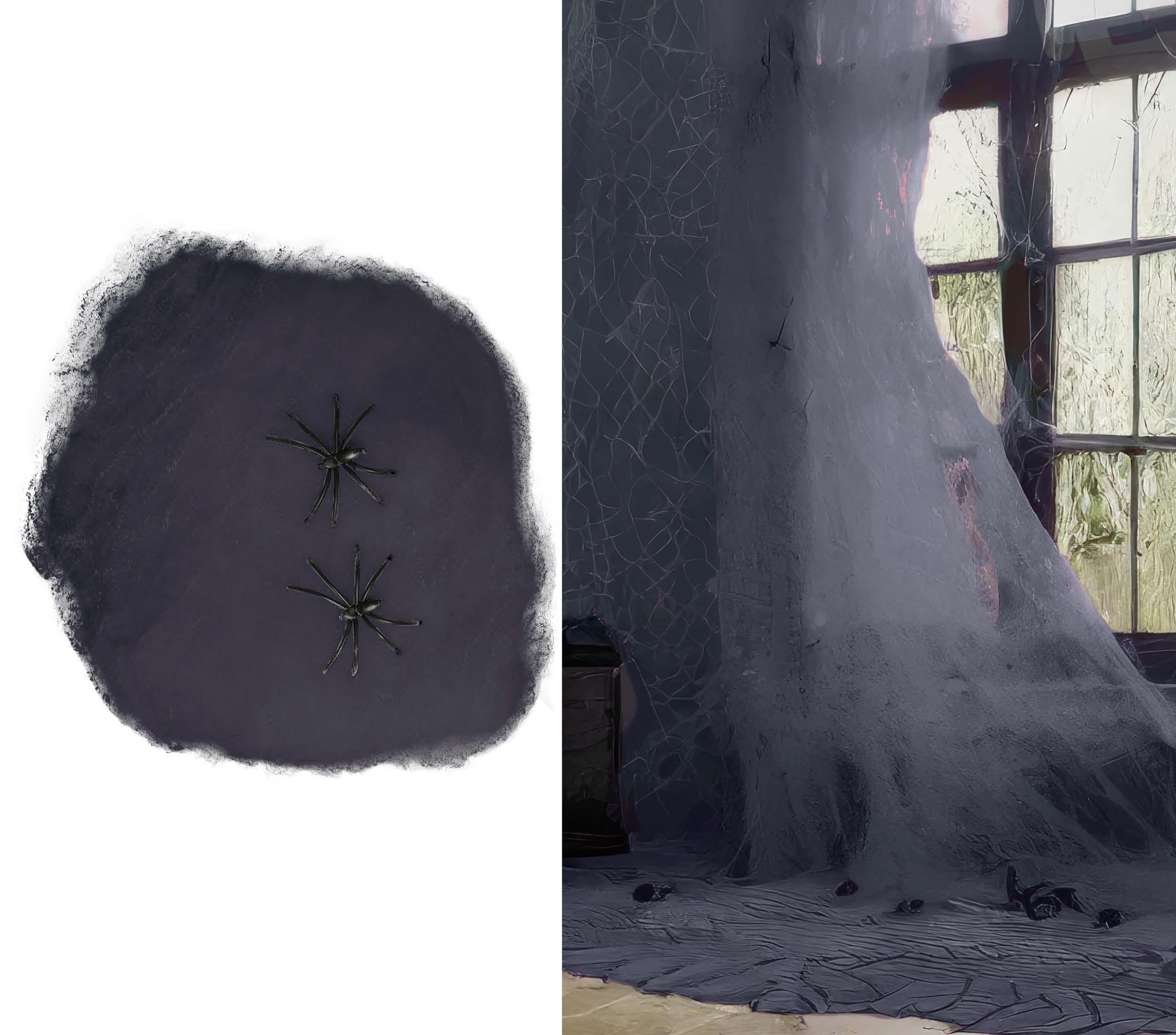 FIESTAS GUIRCA | Black Spider Web (100 g) - Halloween and Fancy Dress Party Decoration - Animals and Insects - Ideal for Celebrations and Events - Black