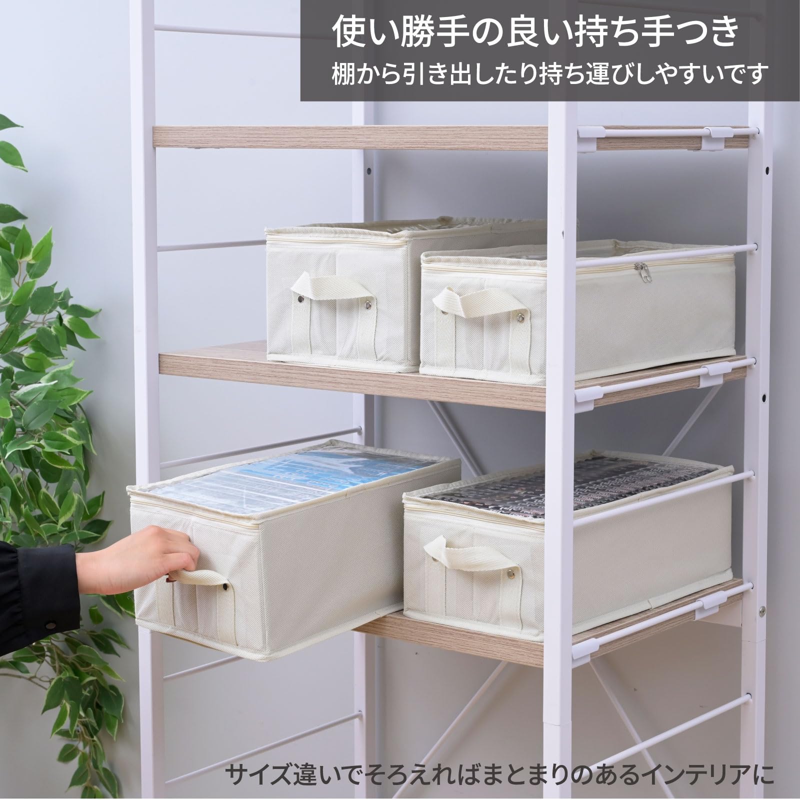 新品ケース収納　あにき DVD全6巻 完結セット レンタル落ち 新品ケース収納 あにき DVD全6巻 完結セット レンタル落ち