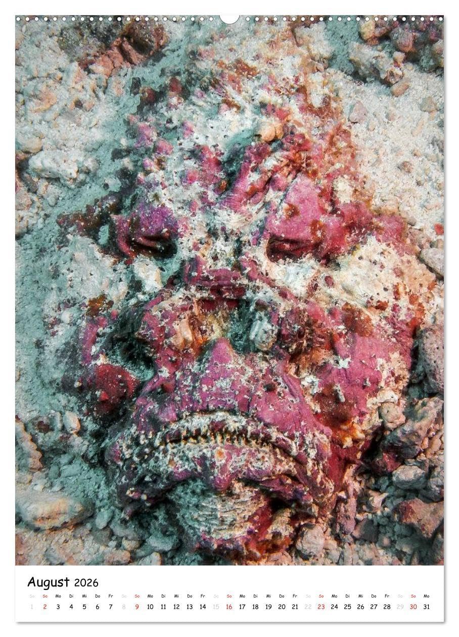 Abenteuer Tauchen (hochwertiger Premium Wandkalender 2026 DIN A2 hoch), Kunstdruck in Hochglanz: Faszinierende Unterwasseraufnahmen von kleinen und großen unbekannten Lebewesen der Ozeane