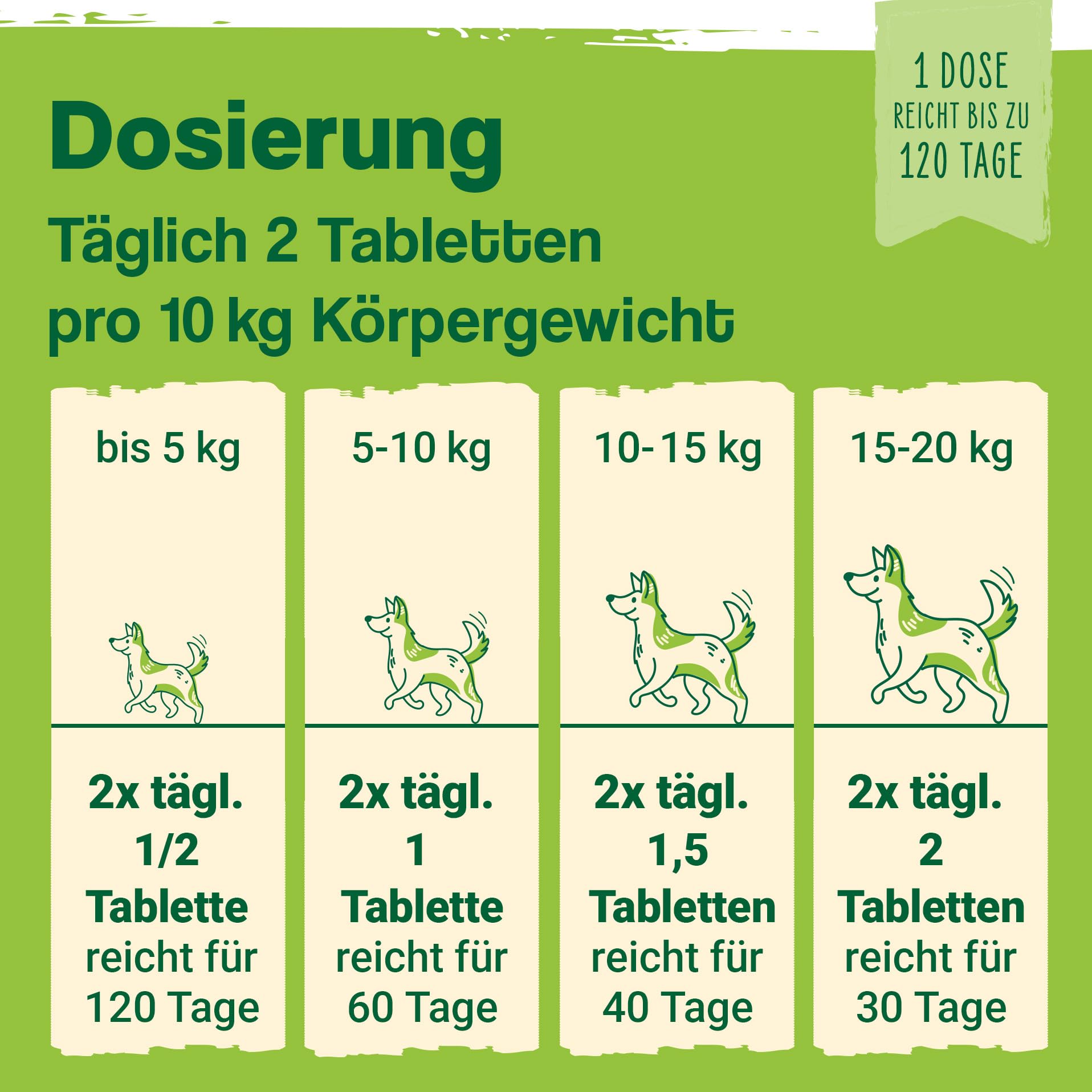 Ida Plus Darmbiotic – Probiotika zur Darmsanierung für den Hund - Darmflora aufbauen nach Durchfall - gesunde aktive Darmbakterien – Immunsystem – Regulierung Verdauung – 120 Tabletten