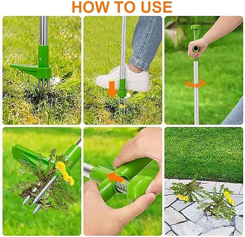 Miniatura 3 de Extractor manual de malezas, herramienta de desbrozadora de jardín de pie, herramienta de mano de eliminación de raíces de mango largo con 3 garras