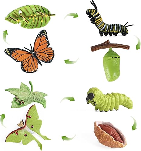 SIENON 4 figuras de juguete de ciclo de vida de mariposa y 4 figuras de Actias Ningpoana, de plástico de oruga a mariposa monarca, juguete de ciclo
