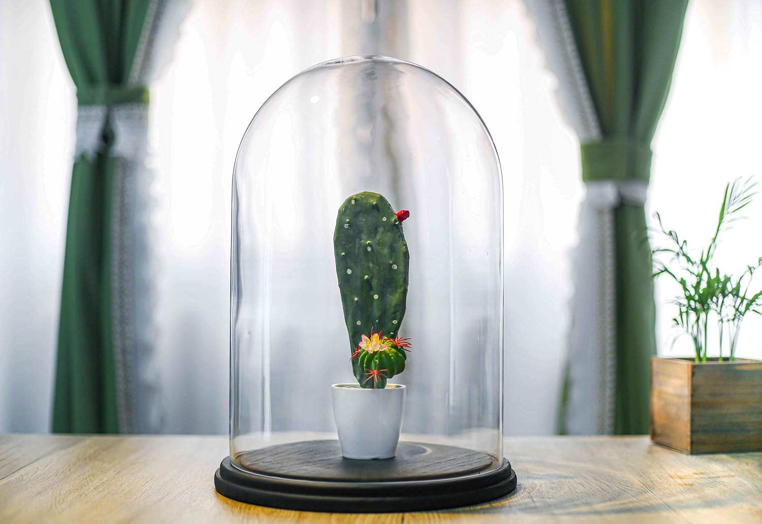 CYS EXCEL Glass Cloche Dome with Lightly Charred Wood Base (H:16" D:11") | Multiple Size Choices Decorative Showcase Display for Antique Collectibles | Bell Jar Terrarium & Dessert Cover