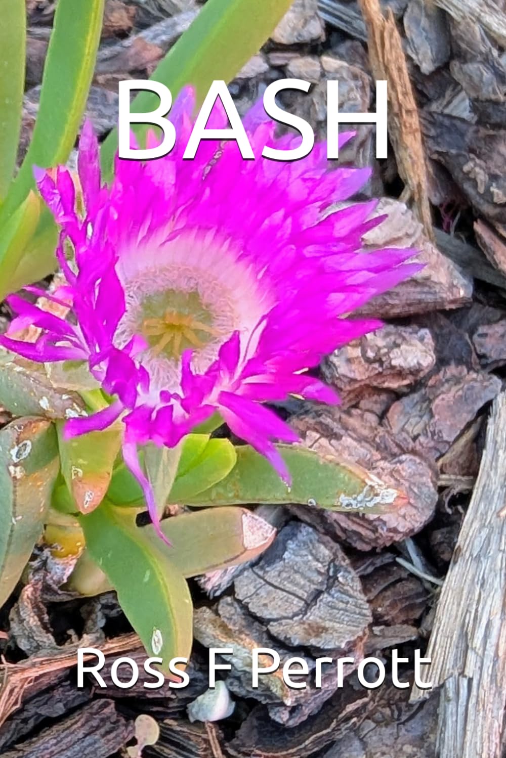 Bash