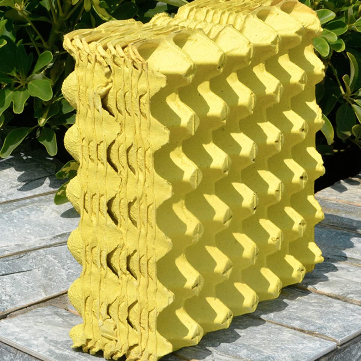 10pcs Egg Trays Counter Egg Holder Storage Containers Cartons Safe and Stylish Organizer