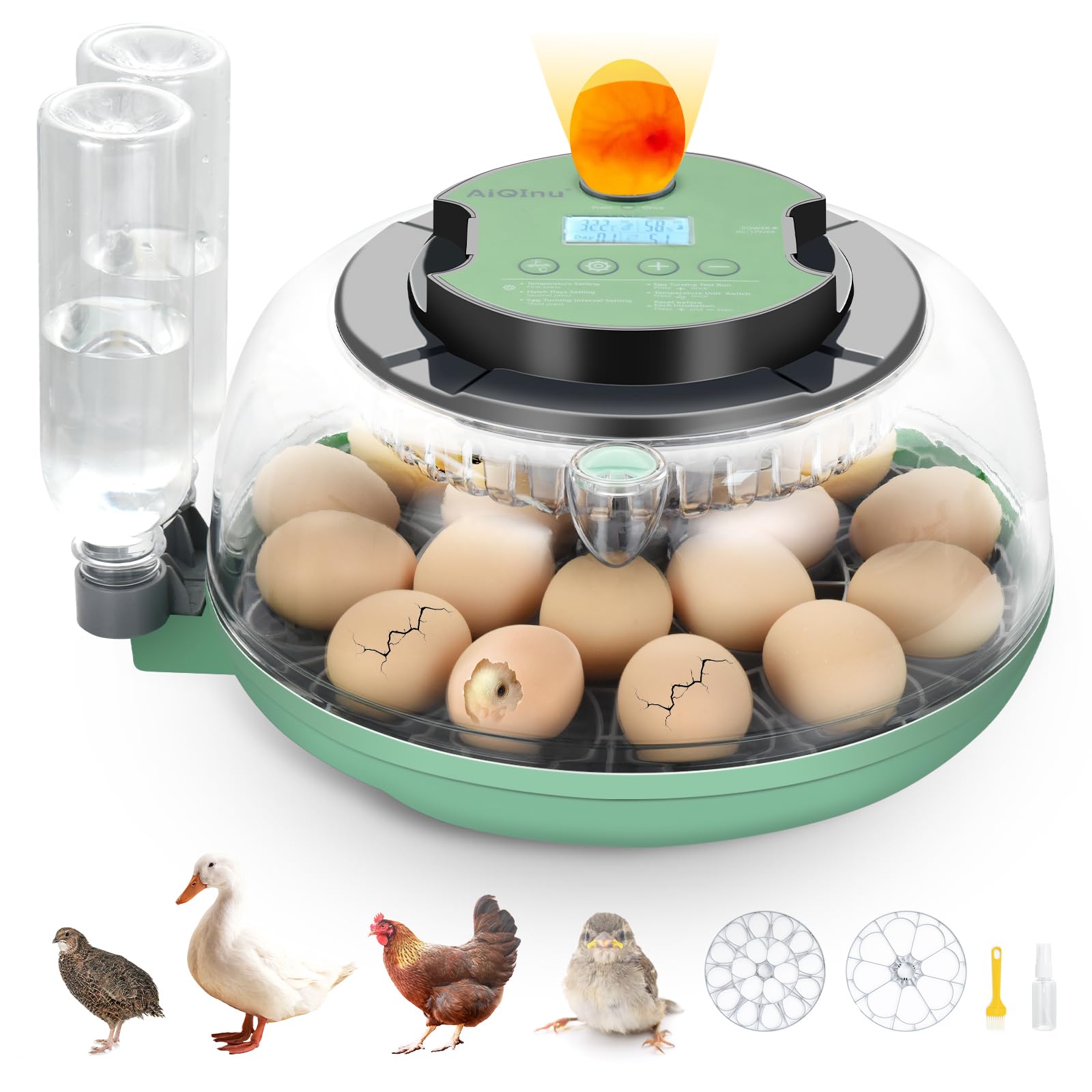 18 Egg Incubator with Automatic Egg Turning and Humidity Control - Egg Incubator for Hatching Eggs Chicken Duck Goose Quail Turkey Parrot, Fit for Farm, Lab, Science Classroom, Home(Green)