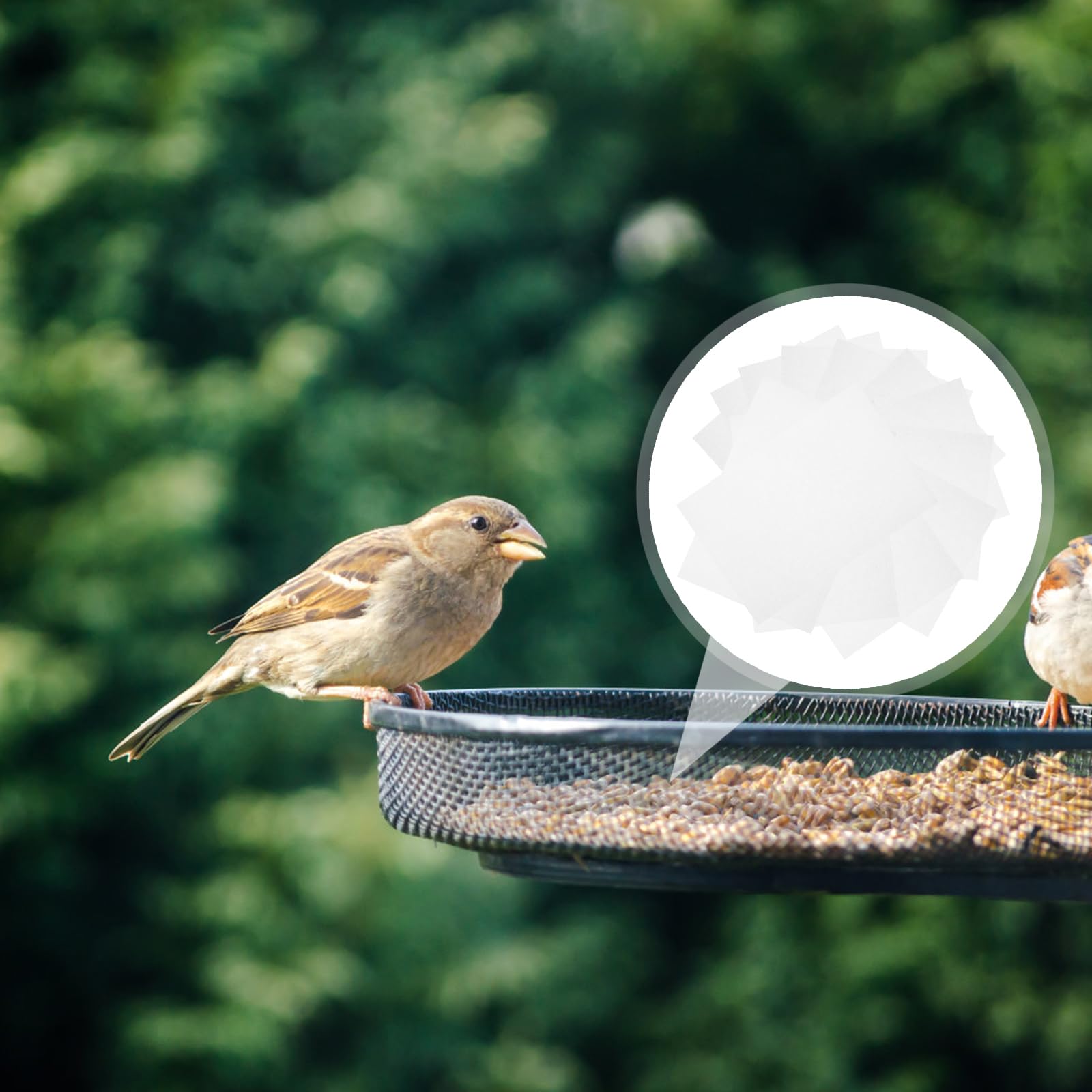 Housoutil Revêtements pour Cage à Oiseaux, 100 Pièces Cages à Perroquets Coussin, 22 * 15cm Fond De Cage Oiseaux, Coussin Doublures De Cage à Perroquet Für Den Kanarienkäfig